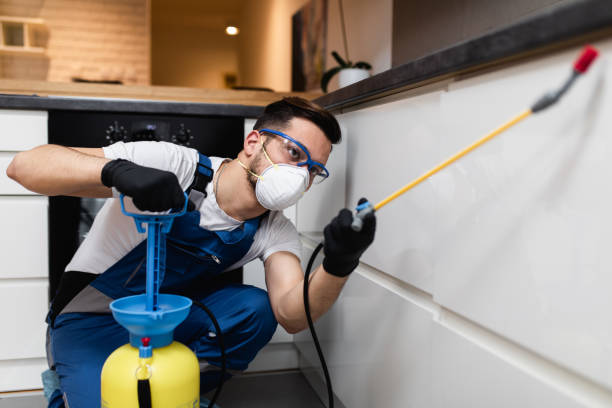 Trusted Deerfield, IL Pest Control Experts