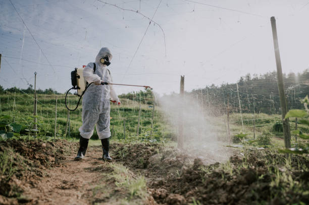 Best Mosquito Control Services  in Deerfield, IL