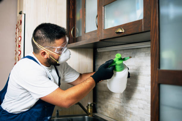 Best Emergency Pest Control  in Deerfield, IL