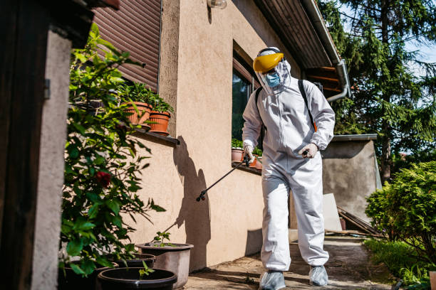 Best Termite Control Services  in Deerfield, IL