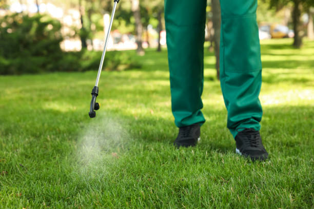 Best Wasp Removal Services  in Deerfield, IL