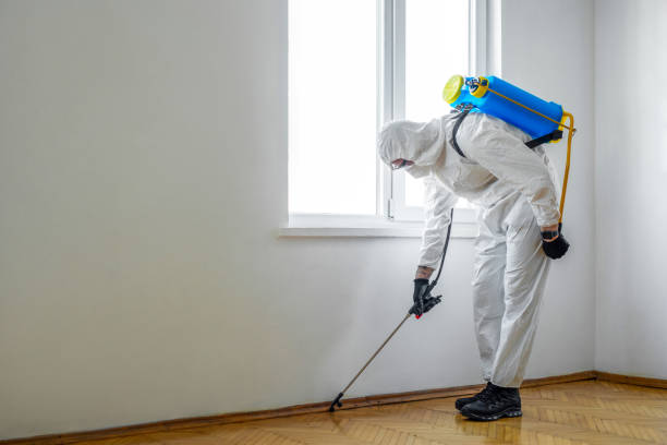 Best Wasp Removal Services  in Deerfield, IL