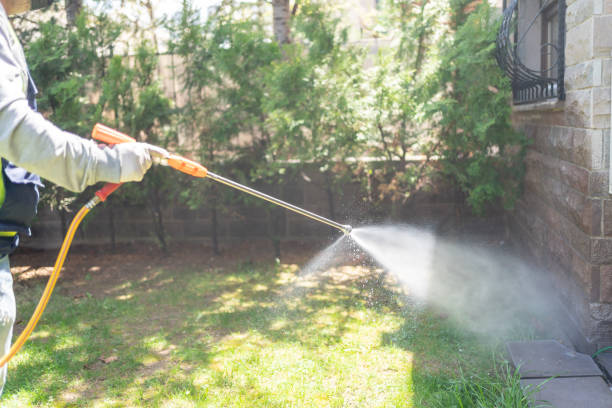 Best Termite Control Services  in Deerfield, IL