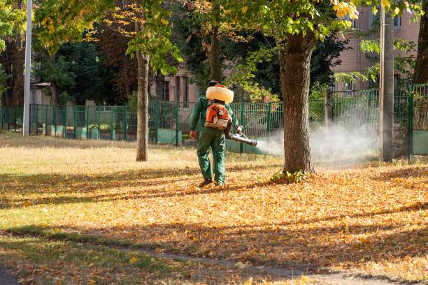 Deerfield, IL Pest Control Company