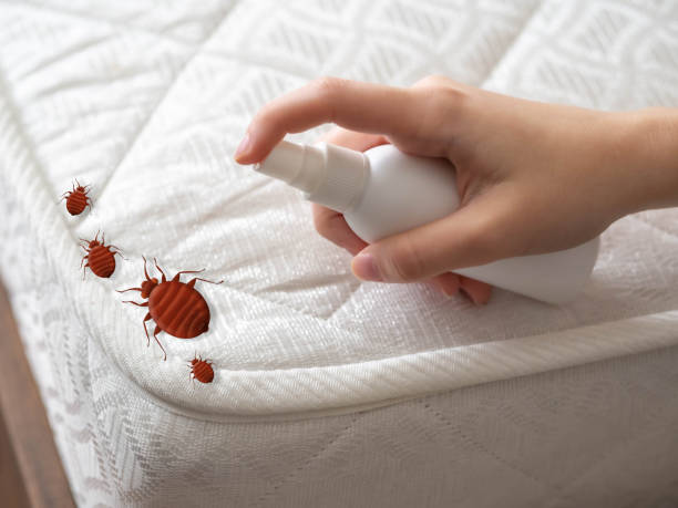 Best Pest Prevention Services  in Deerfield, IL