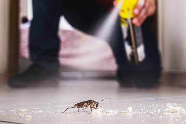 Best Rodent Control Near Me  in Deerfield, IL
