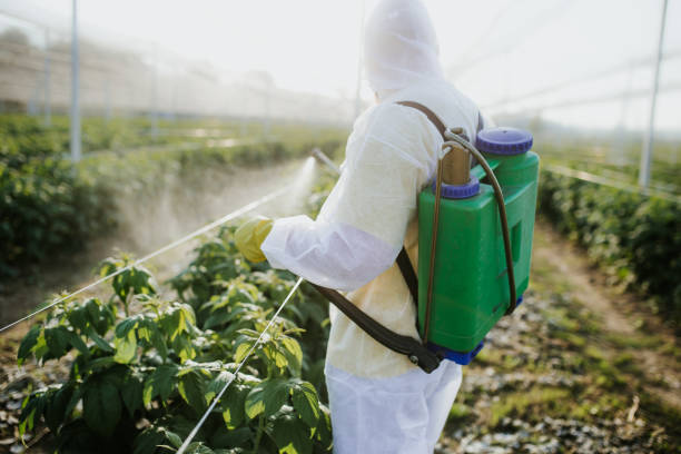 Best Pest Removal Services  in Deerfield, IL